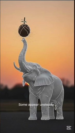 Do Elephants Get Drunk? The Truth About Fermented Marula Fruit 🍷🐘