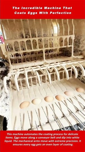 The Incredible Machine That Coats Eggs With Perfection
