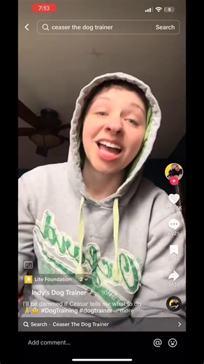 But as for me & my man….. #beaglepuppies #beagle #beagles #showbeagle #beaglepuppy #showdogs #bogeythebeagle | Bogeybeagle