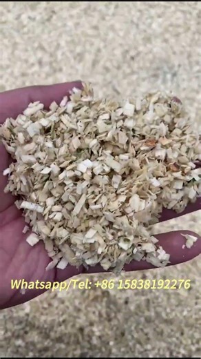 Industrial 300kg/h Wood Crusher: Complete Working & Performance Show