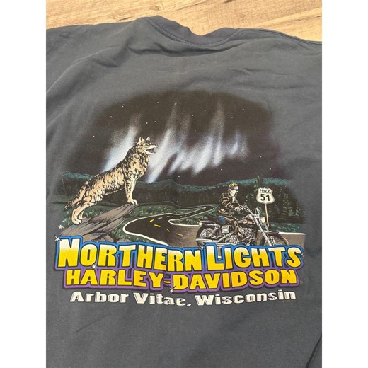 Harley Davidson Northern Lights Wolf Motorcycle Graphic T Shirt 2X - Etsy