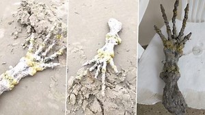 Creepy 'Alien Skeletal Hand' With Long Bony Fingers Discovered by Terrified Couple in Brazil Beach; Watch Viral Video At Your Own Risk! | 👍 LatestLY