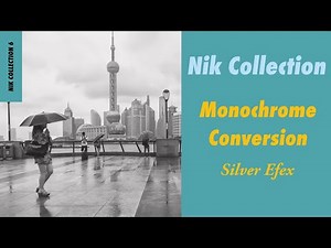 Introducing Silver Efex