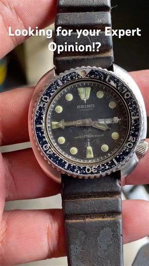 Unlocking the Mystery of the Seiko Turtle A Must-Have for Watch Enthusiasts #watch #seiko #watchnow