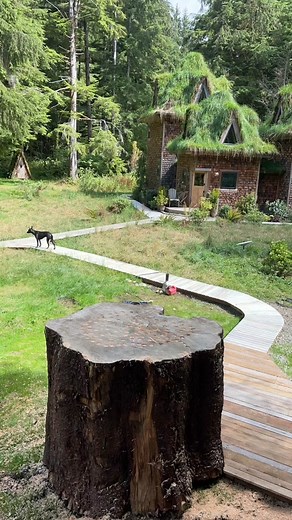 Experimenting can be risky… I hope this works #diy #handmade #tree #art #chainsaw