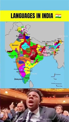 Official Language of Every Indian State 🗣️🇮🇳