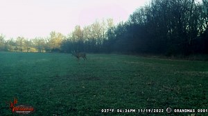 Keeping close tabs on all the deer behind Grandma's house. | Wildgame Innovations
