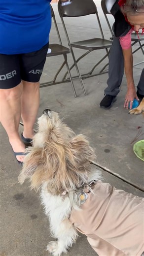 14 reactions · 7 comments | Abita Springs RV Resort on Reels | Facebook