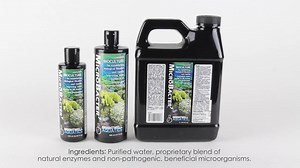 Watch Brightwell Aquatics Microbacter7 on Amazon Live