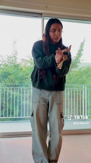 28 Fascinating Kendama Tricks to Master