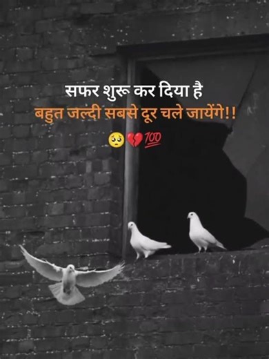 सफर शुरू कर दिया है बहुत ज्लदी सबसे दूर चले जायेंगे #song #hindi song#music #love #bollywood #shayar