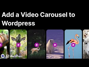 How to Add Video Carousels to WordPress (Easy w/ Custom Layouts)