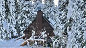 Wonderful Cabin with Hot Tub & Fireplace in Oregon | Tiny Homes