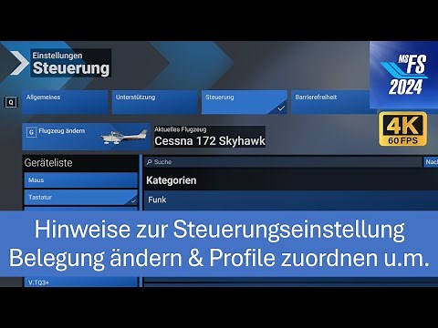 Hinweise zur Steuerungseinstellung | MSFS 2024