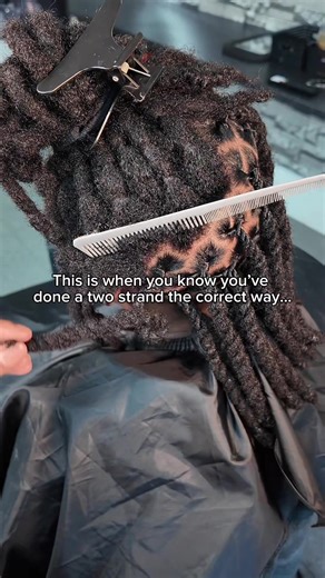 Two Strand Twist Locs: A Detailed Guide
