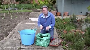 How to plant potatoes in pots - the key method for a perfect crop