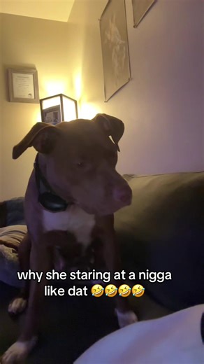 be gettin on my nerves 🤣🤣#relatable #real #dog #fyppppppppoppppppppppppppppp