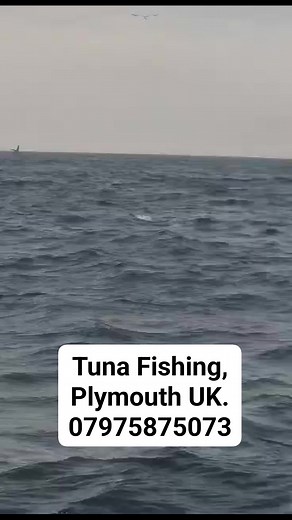 Sometimes they need a little encouragement to stop playing with their food 😂 | Crusader Charters