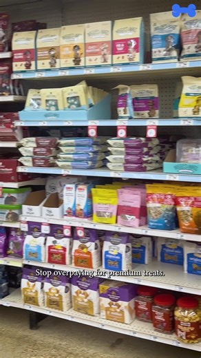 🐶 PREMIUM TREATS, BUDGET PRICES! 💰✨ Stop choosing between your wallet and your dog's health! BoneItUp's Complete Dog Kit gives you the best of both worlds—premium vet-approved ingredients that beat store-bought treats on quality AND cost. 🐾💙 Why settle for mystery ingredients when you can make premium treats at home for a fraction of the price? Thousands of smart pet parents have already made the switch to healthier, budget-friendly homemade goodness! Perfect for conscious pet parents who wa