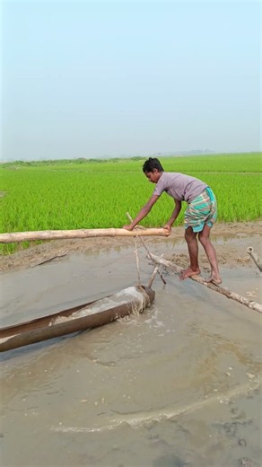 6016.Irrigation is ongoing
