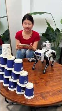 Smart Programming New Robot Boy Toy Cute Pet Robot Remote Control