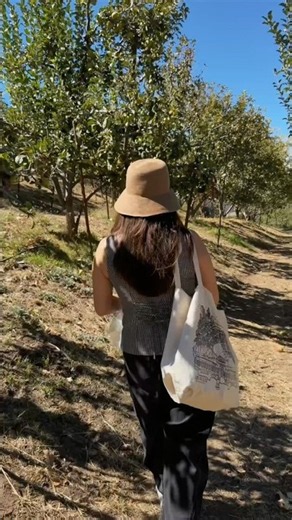 Apple picking day in Southern California 🍎🍁#fallincalifornia