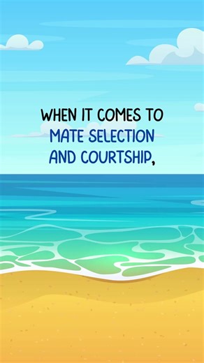 Fishing for Love: How Female Fish Choose Mates