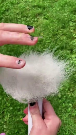 ASMR: The Satisfying "Click" of aumuca (Deep Cleaning Cats & Dogs) #aumuca #aumucapetbrush