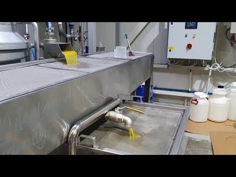 Μάζεμα Ελιάς και Παραγωγή Λαδιού