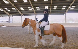 BHS 马术小课堂：BHS 英国马术协会 职业训练指导阶段2 骑乘 Career Pathways Training Guide Stage 2 Ride