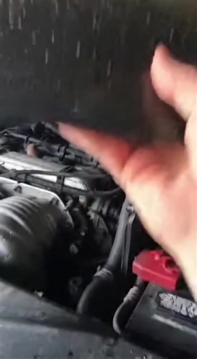 Effective Pest Control for Household Rodents