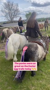 The ponies were so great on our mini egg hunt trails today with the children age 3 So proud of them wearing their Easter tails and bunny ears and being gentle with the children. Good job ponies 👏👏👏👏 | Shetland Pony Club