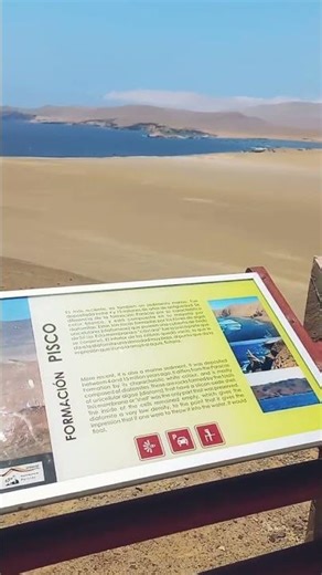 Paracas: donde el desierto se encuentra con el océano 🌊🏜️ | Perú