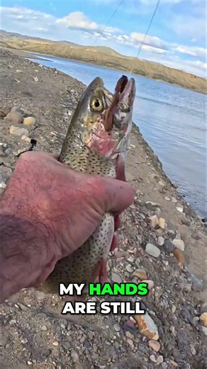 INSTANT CATCH! Fishing Trip Gone WILD You Won't Believe This!
