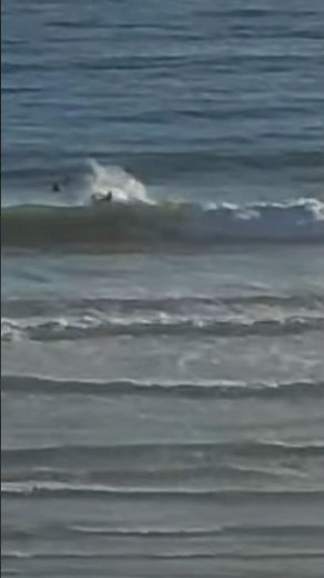 Strand Surf Webcam highlight 😍