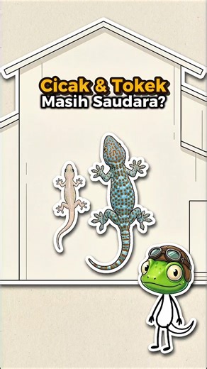 Geckos vs. Lizards: Are They Related? #reptiles #education