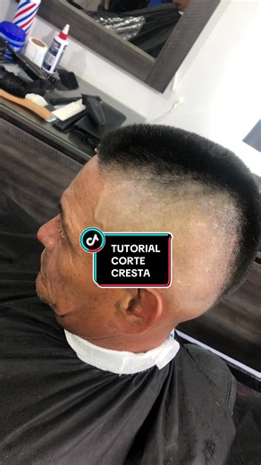 Que tal mis tigres 🐯 por aqui les dejo este tutorial del corte en CRESTA rapidamente en 2 min , espero de su apoyo dandole like❤️, guarden el video, compartan y comenten💬 #barber #educacion #tutorial #barberias #barberlife #paratiiiiiiiiiiiiiiiiiiiiiiiiiiiiiii #viral_video #barberoslatinos #villavicencio #meta #barberos #barberosdelmeta #hairstyle #haircut #tendencia