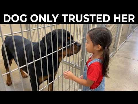 This Shelter Dog Scared Everyone... Until One Little Girl Stood Still