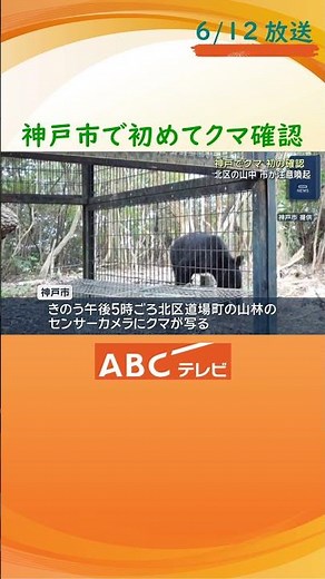 神戸の山林でクマの姿、市内では初確認 センサーカメラに映り込み 付近にはゴルフ場も・・・市が注意喚起