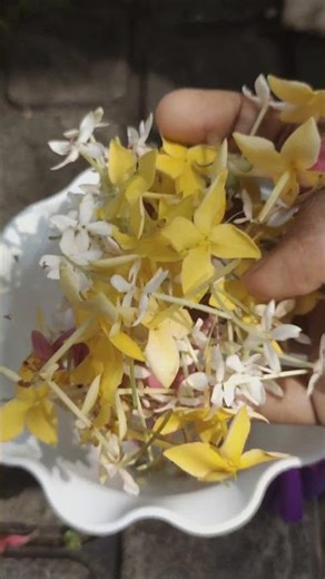 Just Random Life Clips 💫