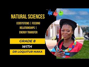 Grade 8 Natural Sciences | Ecosystems, Food Chains & Energy Flow Explained