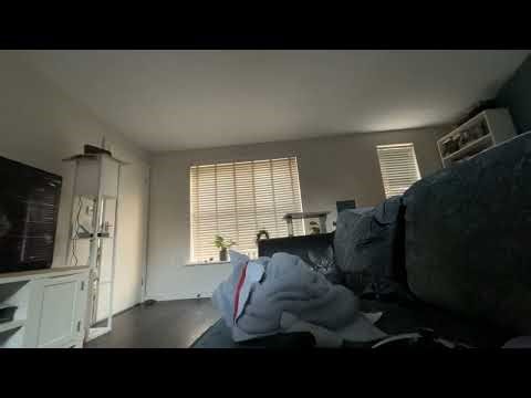 How to catch a pockemon