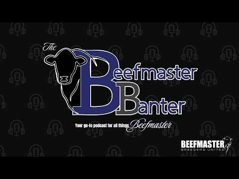 The Making of Beefmaster: 90 Years of Purpose-Driven Breeding