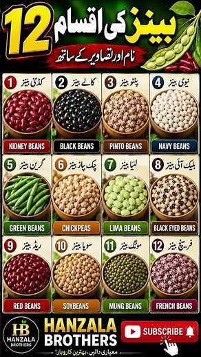 All Types of Beans with Names and Pictures | Bean Guide #shorts #pulses #beans