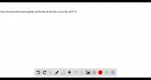 SOLVED:Draw the structure for each peptide: (a) Phe-Ala; (b) Gly-Gln; (c) Lys-Gly; (d) R - H.