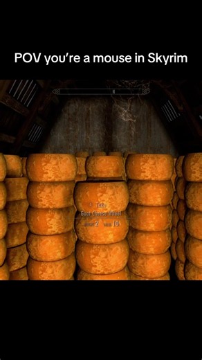 Cheese stacking stream went well today we’re running out of room though #skyrim