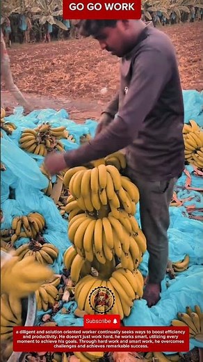 Manual Banana Harvesting Technique for Gathering Fruit Bunches in Plantations