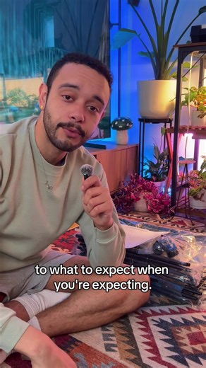 We gotta build these plant shelves before Entei gets here 🐶🪴✨