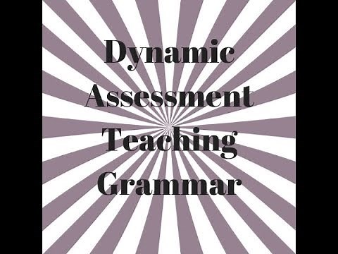 Dynamic Assessment: Teaching Grammar Components