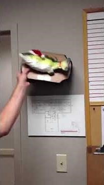 Big mouth billy bass, destroyed